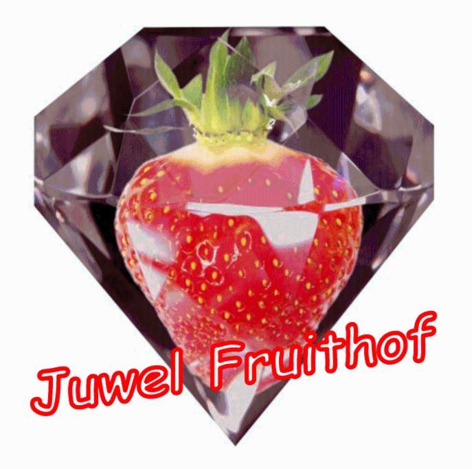 Appartamento Juwel Fruithof Zepperen Camera foto